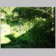 junger Garten.JPG